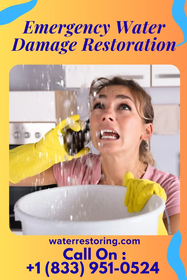 Emergency Water Damage Restoration in Reese, MI